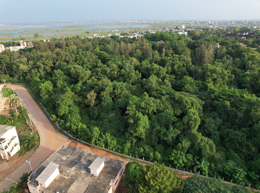 Vue aérienne par drone